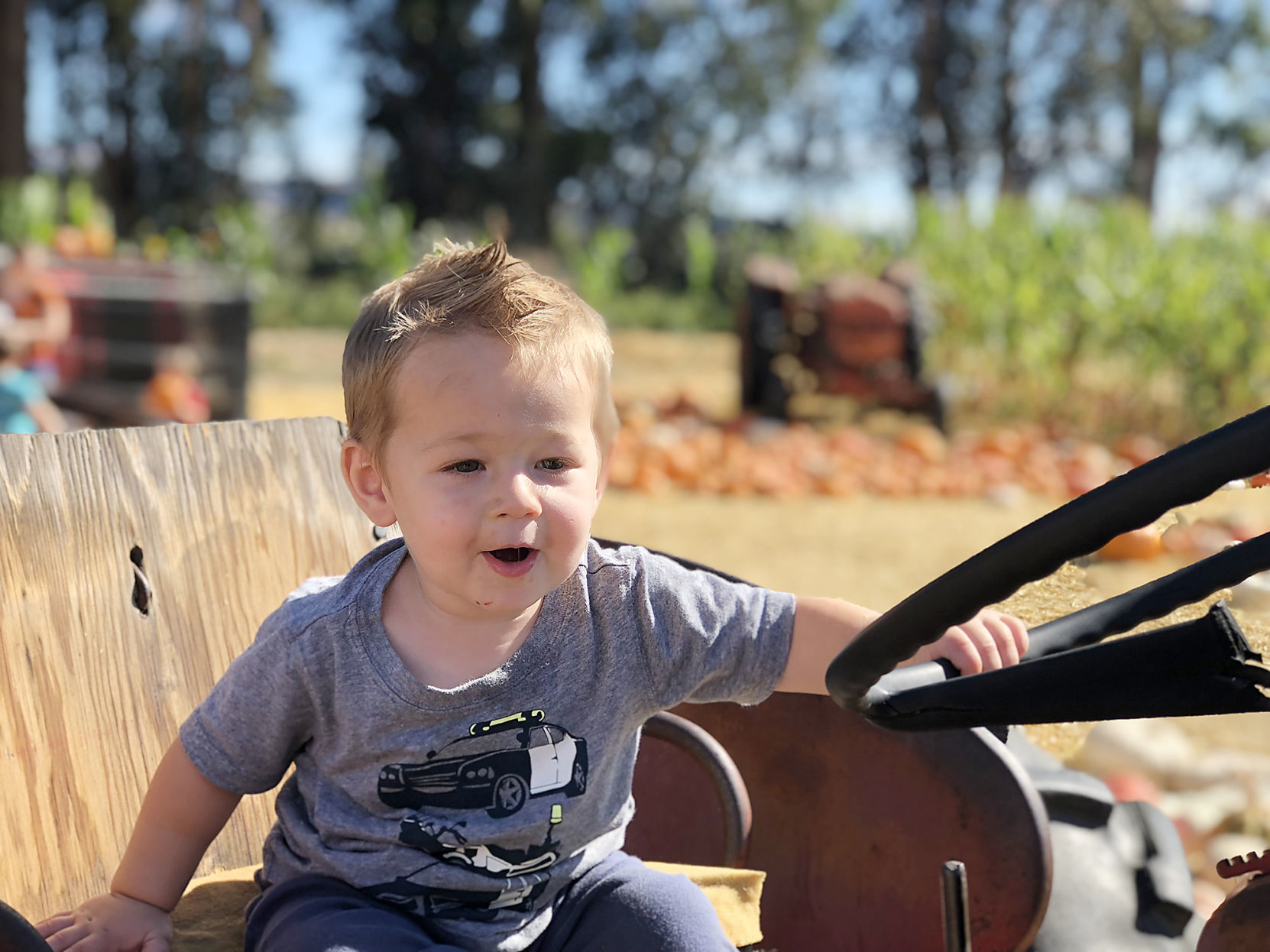 Pumpkin Patch